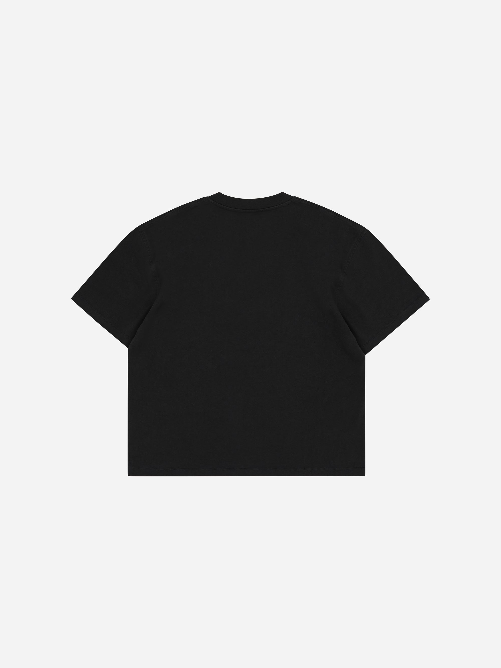 BLUEPRINT T-SHIRT - VINTAGE BLACK
